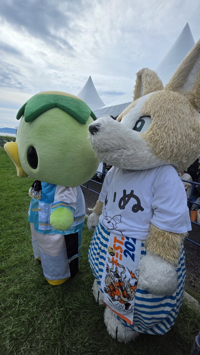 tomoyon39's tweet photo. @p_welsh_corgi ステージ横の下でも応援しに楽しんでたりもしてたしね(^^)
ひやけのお手入れしてね(*ˊ˘ˋ*)
帰ってきたら雨で天気の差はげしすぎたね☔
おやすいぬ～(*˘︶˘*).｡.:*★ https://t.co/f8ecyp9MPL