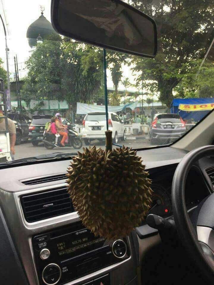 bongiening's tweet photo. pengharum mobil termantap https://t.co/JHXK0ppncX