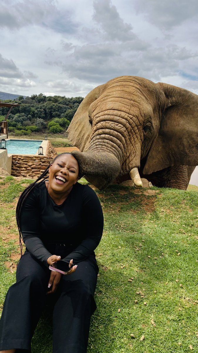 TshepiTheFixer's tweet photo. The most perfect date 💙🥹🐘
#Sunday #Date #Elephant https://t.co/ttmHqIv3GT
