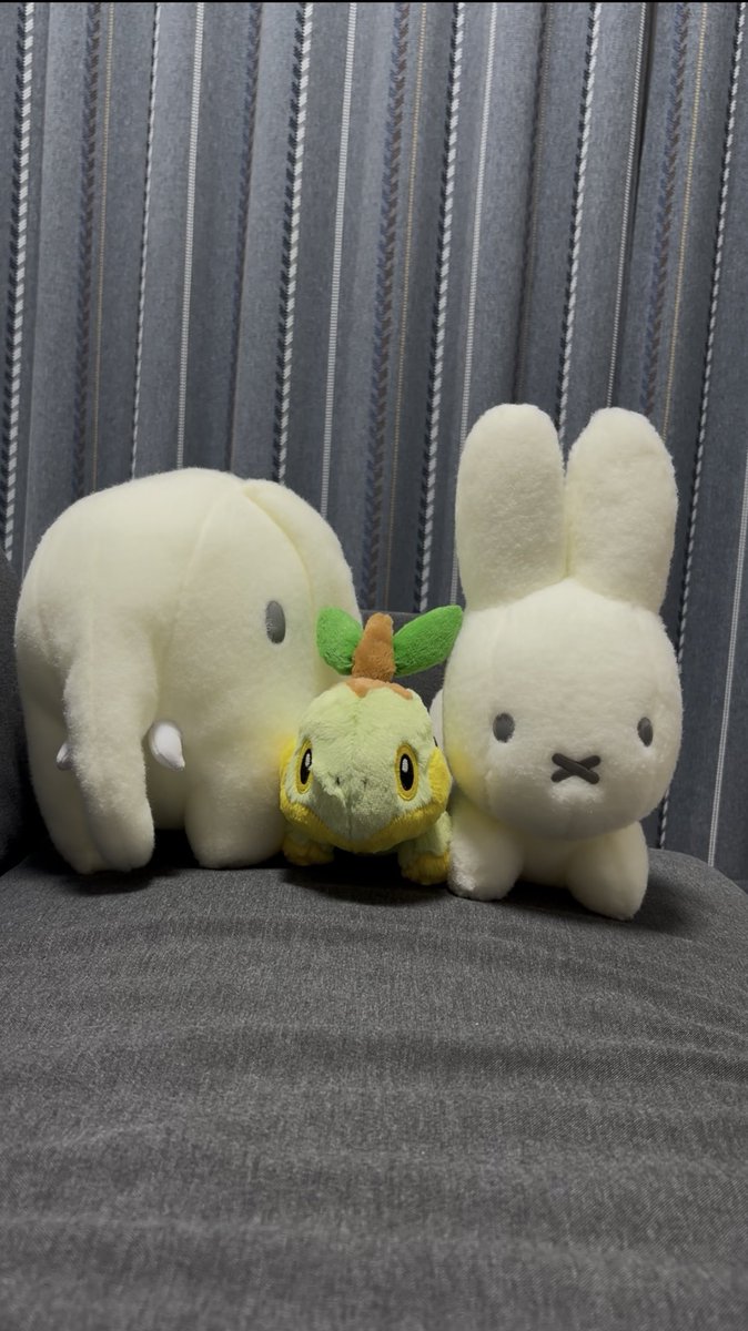 nui_72ki's tweet photo. 本日のスカウトたち
ブルーナアニマルたちがふわふわで程よいサイズ感でとてもかわいい。
ナエトルもふわふわで顔の造形がすごく好き。 https://t.co/UsPpZAcq8z