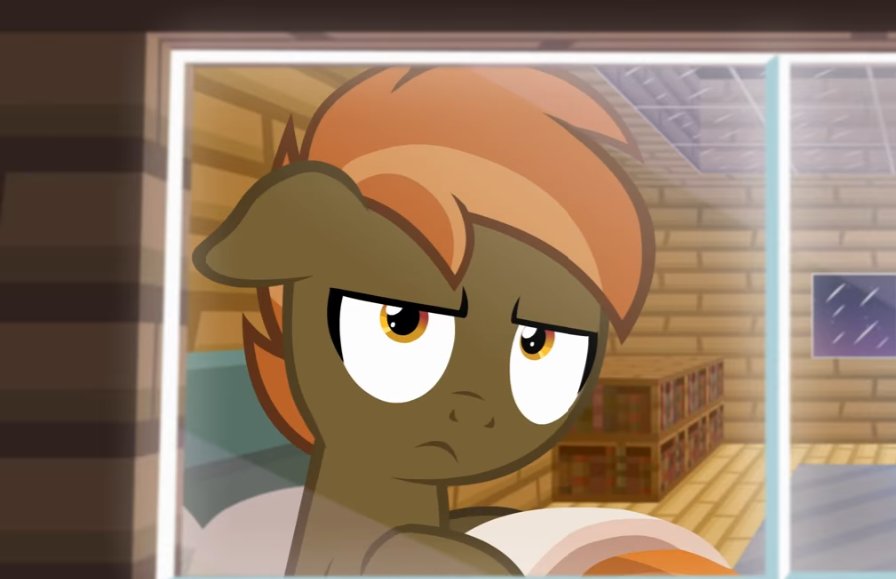 the_mashinator's tweet photo. If I find any more stallions flirting with my mom

SHIT'S ABOUT TO GO DOWN. https://t.co/FU9vwq52NE