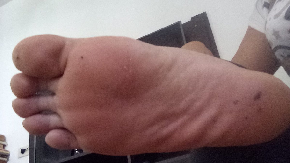 AnaDiosa040897's tweet photo. Come serve puppy 🐶🔥 

#Findom #Goddess #Finsub #Feetfetish #Feets #Feetpic https://t.co/N2TOBiHjpw