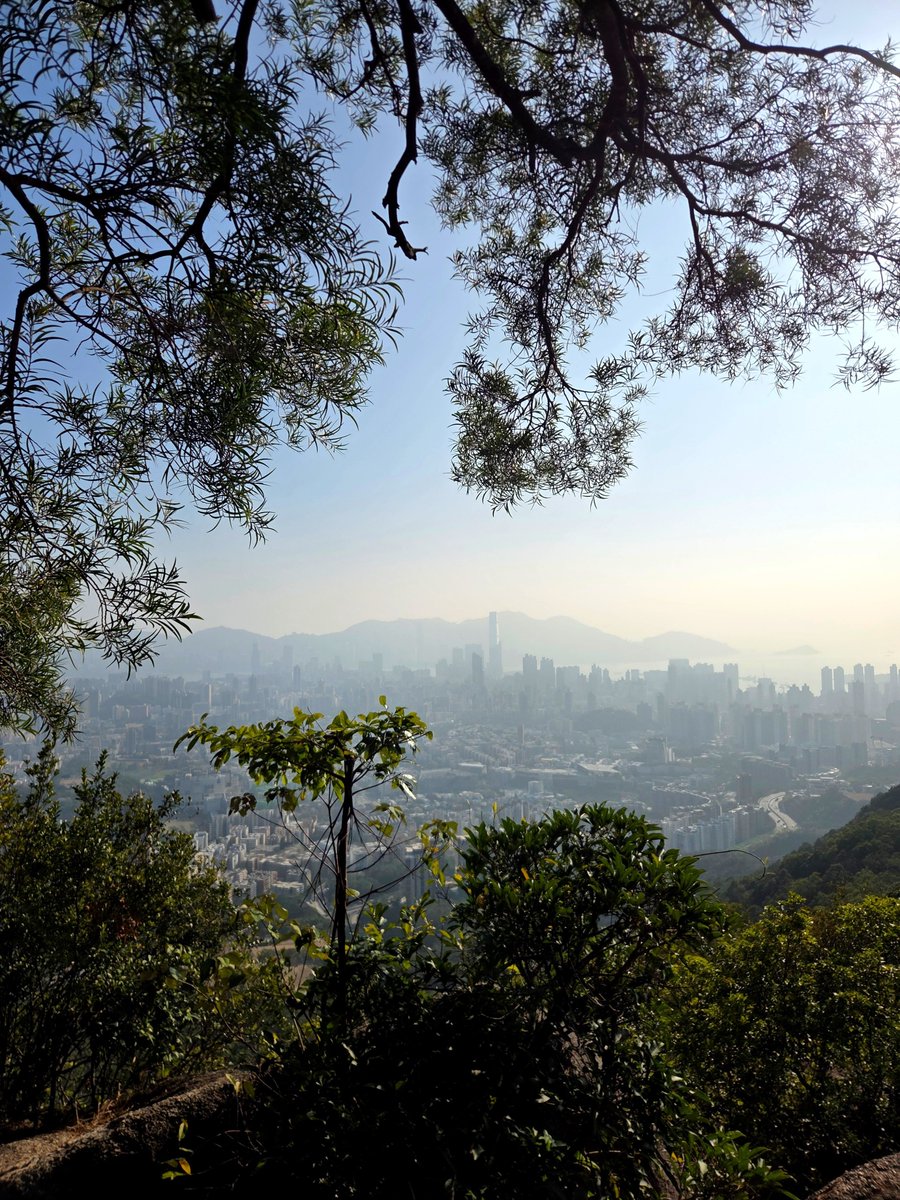 joinroamapp's tweet photo. Hong Kong from above. Worth every step. 🥾 https://t.co/3cOEVlW5MF
