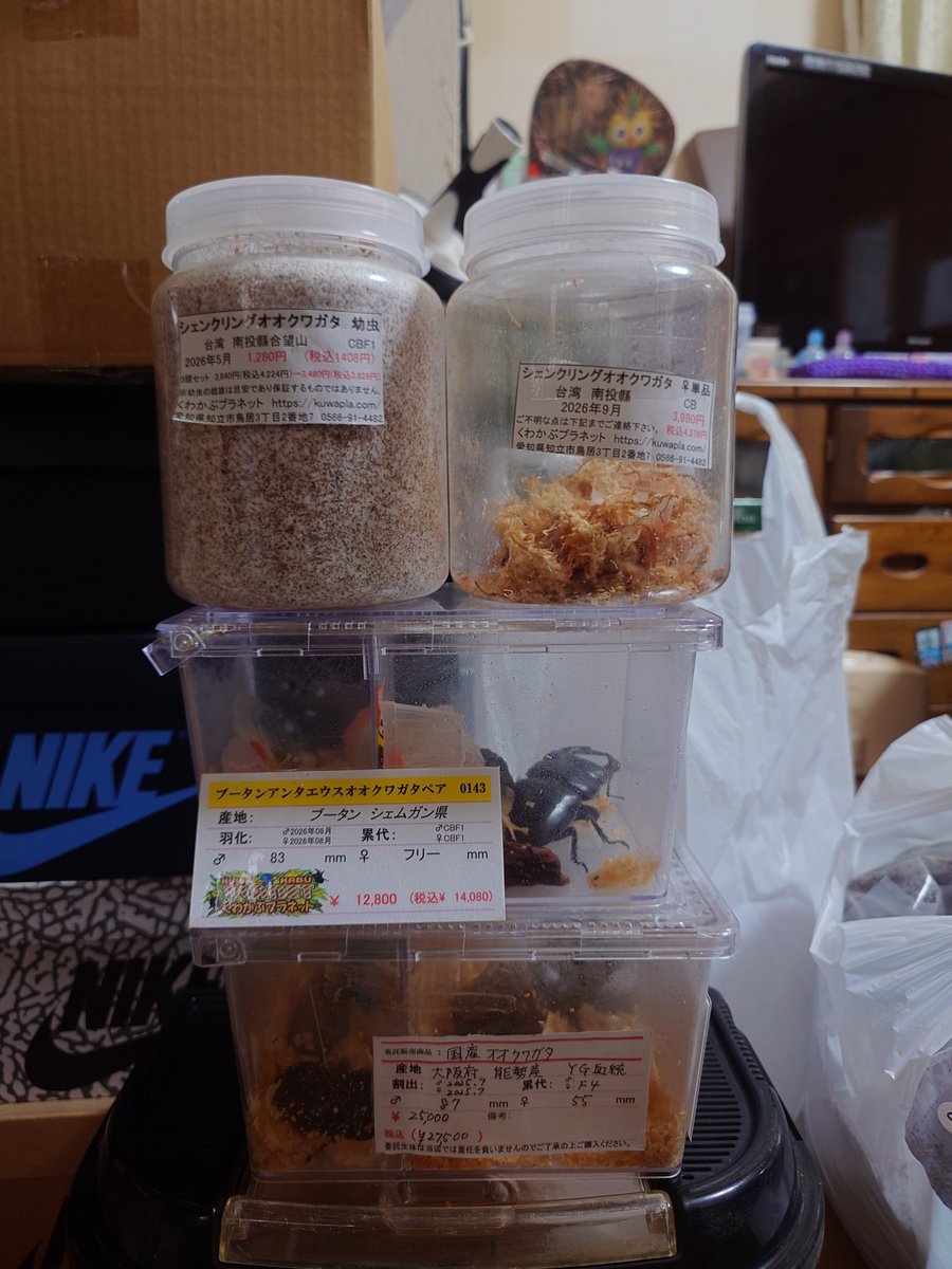 GF50AG's tweet photo. 散財パラダイス！
俺の夏は終わっていなかった！
これで今年は最後にします笑 https://t.co/7taFrK5PoH