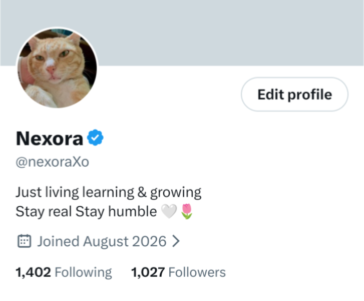 nexoraXo's tweet photo. From 0 to 1K thank you to everyone who  supported  and followed this journey This is just the beginning. 🥰🌷 

Love you evryone ❤️ https://t.co/9sHBWKM4Oz