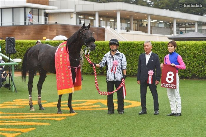 keibalab's tweet photo. 【雨中の激走、執念の粘り腰】
26年オールカマー1着
メイショウゲキリン
Meisho Gekirin
(牡7、栗東・笹田和秀厩舎) 田辺裕信騎手
父キズナ
母メイショウスズラン
母父キングカメハメハ
#メイショウゲキリン #田辺裕信 #オールカマー 
https://t.co/tdiSYx0xBU https://t.co/k5vu3J6ned