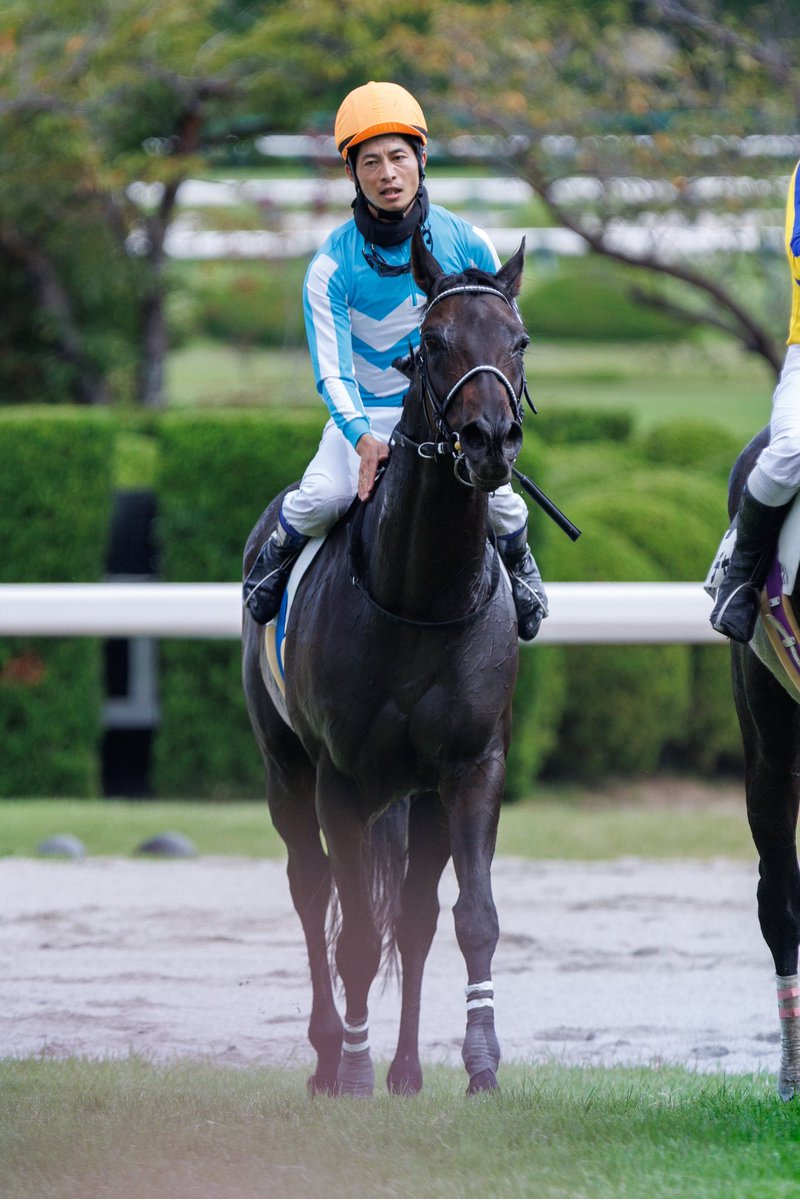 saltsters's tweet photo. #アウスヴァール
#森一馬
2026.9.20 阪神1R 障害未勝利🥈 https://t.co/UQwic0bVIj