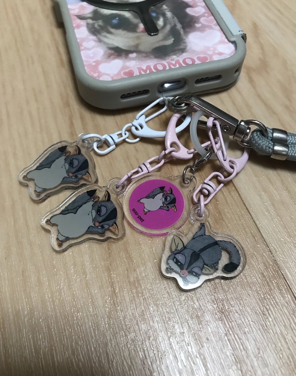 miichan_rh2002's tweet photo. もう付けすぎかな😂
可愛いからつい追加しちゃう😂
最近はこんな感じで付いてる😆🎊

@pet_suu さんのとこで可愛いTシャツもグッズもいっぱいあるのでぜひチェックしてみてください😆
私はTシャツもグッズもだんだん増えてきた😆

また楽しみにしてます！

#アクバス https://t.co/GDT0WejcVy