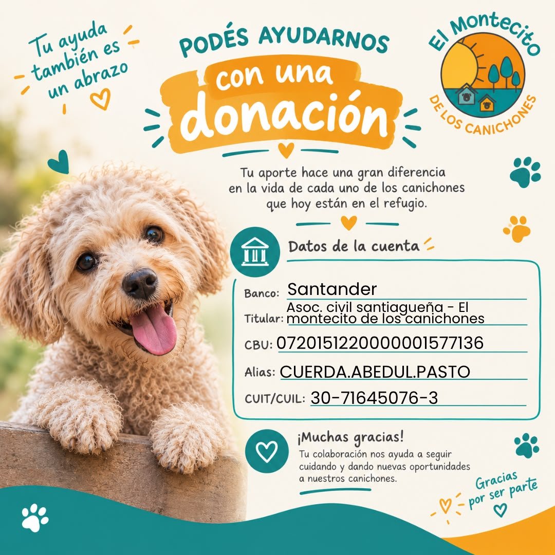 MarianoOses's tweet photo. Holaaaa Corazones de Oro !
Tu ayuda es muy importante !
Graciasssssss ! https://t.co/z2wLKINnYV
