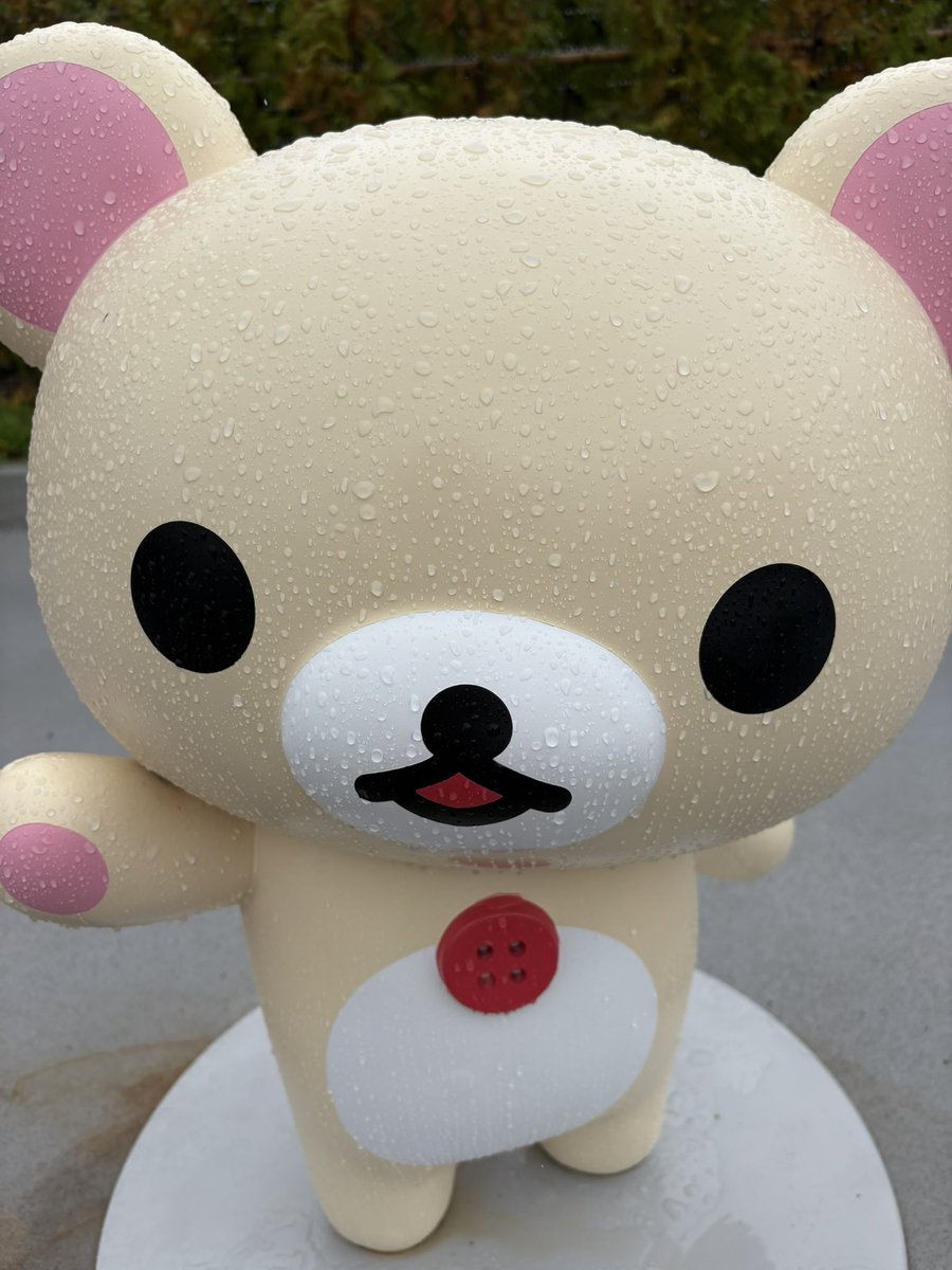 koriri_1's tweet photo. 雨の富士急
滝汗のシカマルだけが最高

ちなみに
滝汗のコリラックマといしよわちゃんもいた

#富士急ハイランド https://t.co/kbFKItZZ5Y