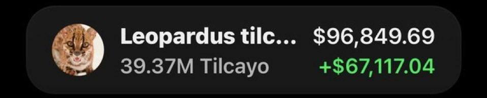 SOLSPROFITS's tweet photo. $TILCAYO is making waves and printing massive gains in my Alpha TG! 🚀🏆📊

The fam is celebrating as usual! 🥳🔥

Another big move caught early. 👀💰

CA: AyYNfPtftg2zDP4ZbgcoQMggQtwLh4zpfVVmUJs2thto https://t.co/1MvGr6x89o