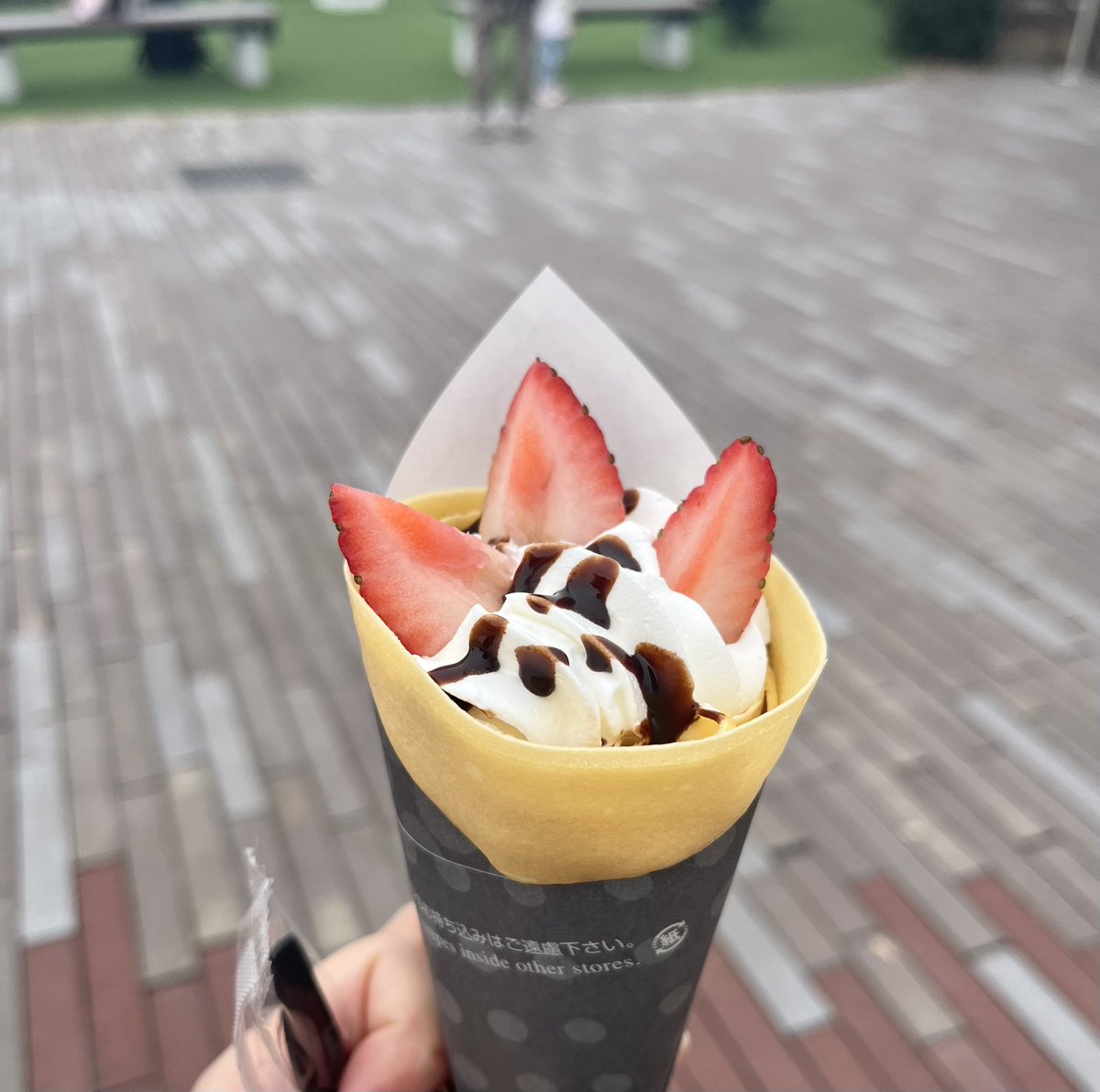 miyamomocha's tweet photo. モルちゃんを撫で撫でしてクレイジークレープ食べてきた🐹🍓 https://t.co/lK6rakEhSF