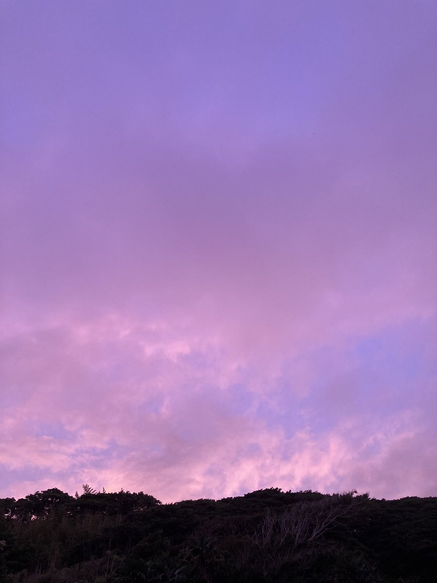 kuronekotashiro's tweet photo. こちらもどうぞ🐈
ピンクと紫の空
お供してくれたグレモフ😸

#猫島 #tashirojima #catisland #田代島クロネコ堂 #CatsOfX #cats https://t.co/zRBGbglGJW