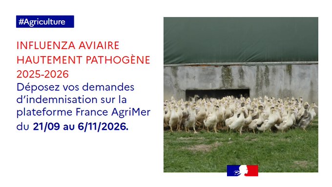 Image de l'actu de Préfète des Deux-Sèvres