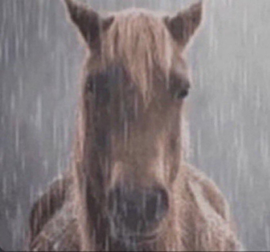 amusedjuju's tweet photo. // uu spoilers

and when it starts raining in flame’s next video and he either mentions jaden or just stops for a second feeling like something is wrong but not knowing what exactly https://t.co/3NvqaEgtsb