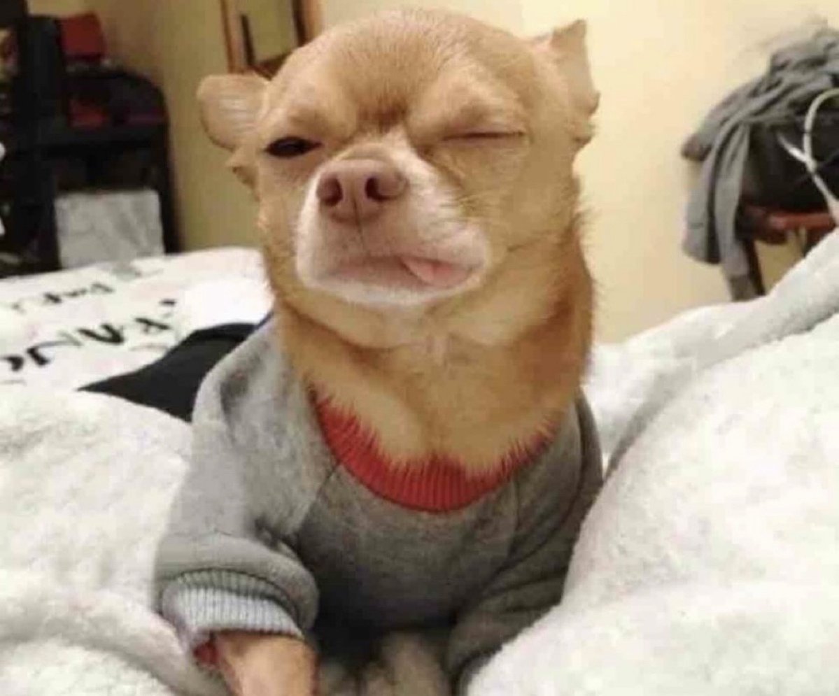 Guarromantico_'s tweet photo. “El domingo ahora sí me voy a levantar súper tarde”

Yo el domingo a las 7:00 am: https://t.co/DoyRxEv1eJ