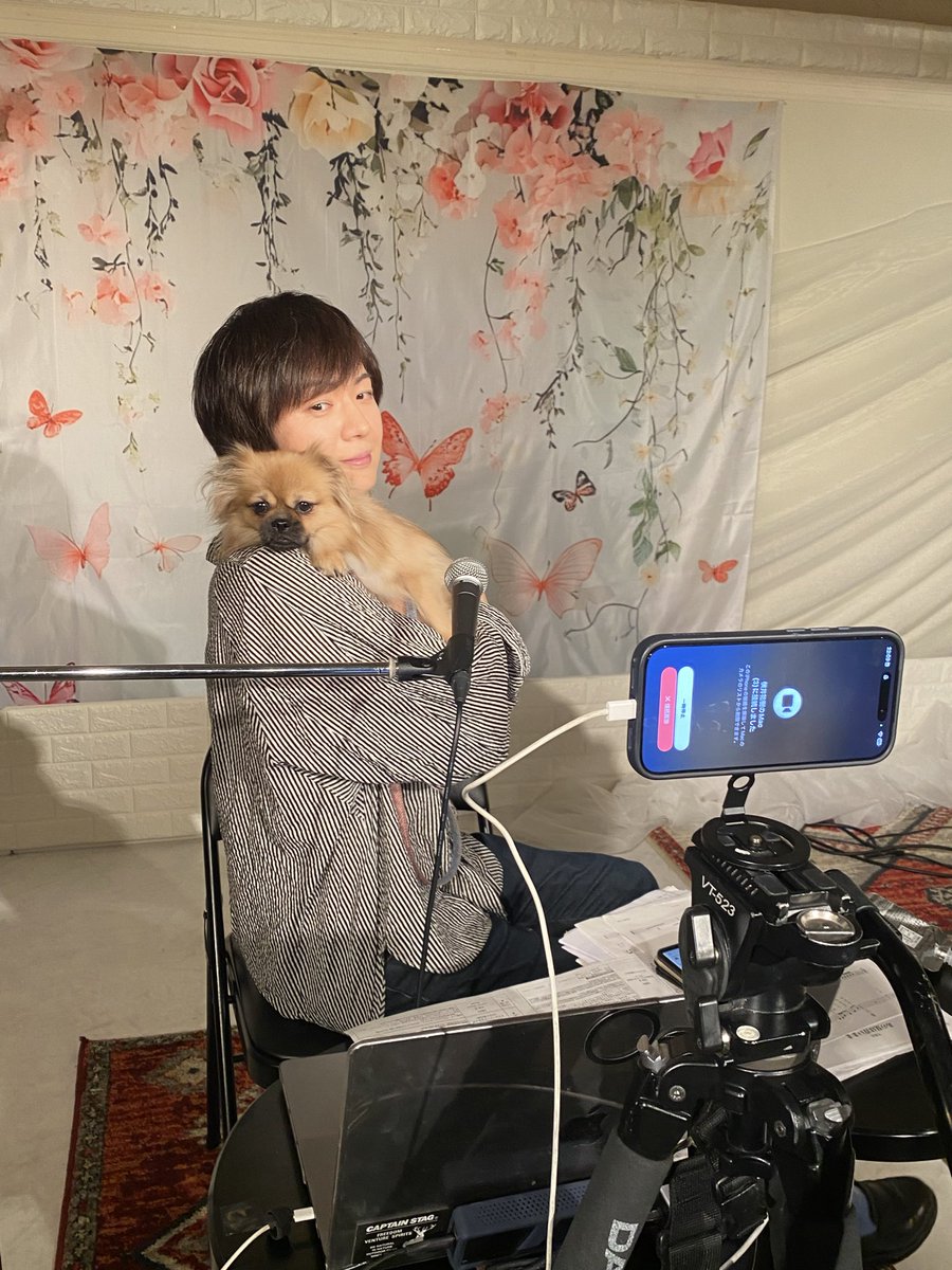 takeshima_staff's tweet photo. ディジーはいつも自由
ガジュマルはまだヤンチャなので
3階の事務所でミモザ、オモト
と一緒にいます。
#ひろネット #ディジー https://t.co/rdfVqd5iIm