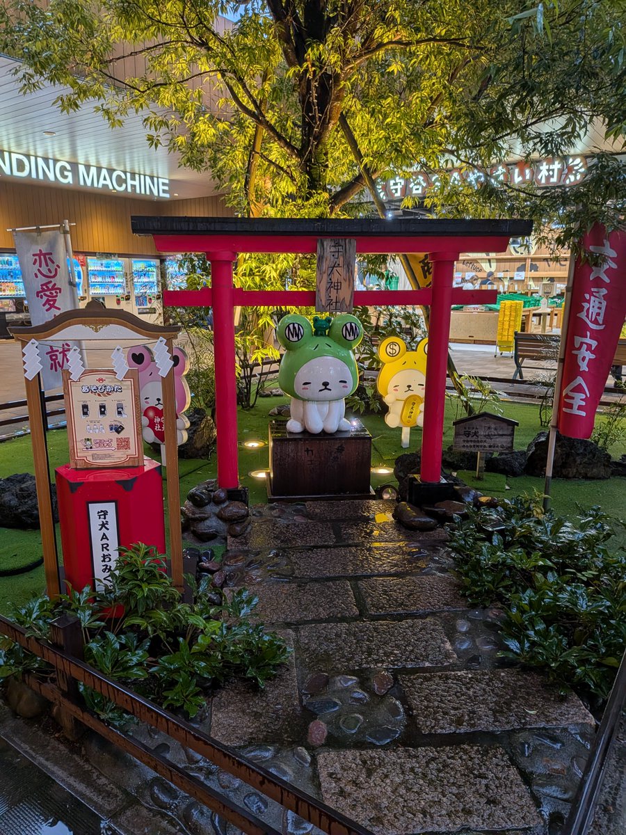chaingang0518's tweet photo. 実家のアロエとレモン、帰宅途中の守谷SA（上り）のユルい神社 https://t.co/57Q4bYr9Ze