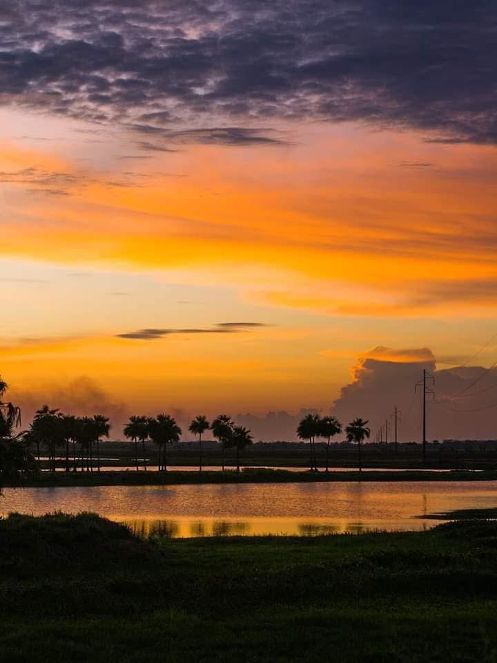 GianlucaCoccon1's tweet photo. Maravilloso atardecer 
ESTEROS DE CAMAGUAN 
Edo Guarico VENEZUELA 
🇻🇪🇻🇪🇻🇪🇻🇪🇻🇪🇻🇪🇻🇪🇻🇪🇻🇪🇻🇪🇻🇪
@venezuelaenfoto https://t.co/1Y6RZw4dkF