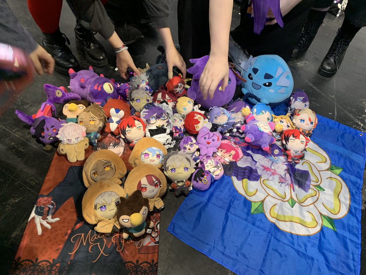 SekiHooooo's tweet photo. The last sec before starmin took their plushies back https://t.co/oemv1Bzqg8