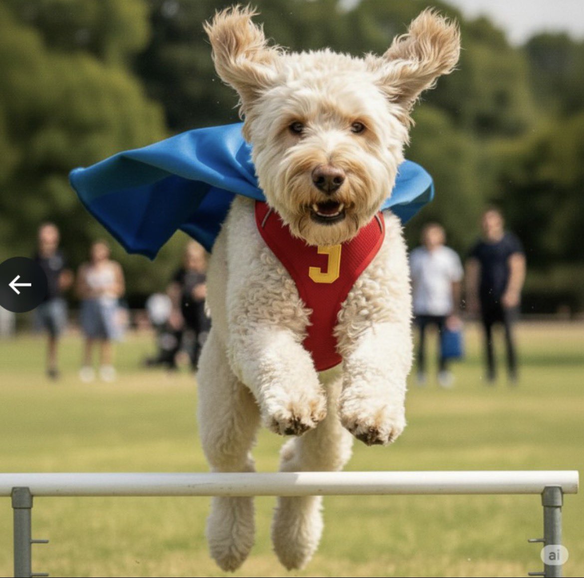 Doogler_base's tweet photo. Meet Jeffree.

@sundarpichai's Labradoodle and, in Sundar’s own words:

“Best work partner.”

@Google  has Dooglers.

Sundar has Jeffree.

We got $DOOGLER. https://t.co/QZI0Z8Z2uB