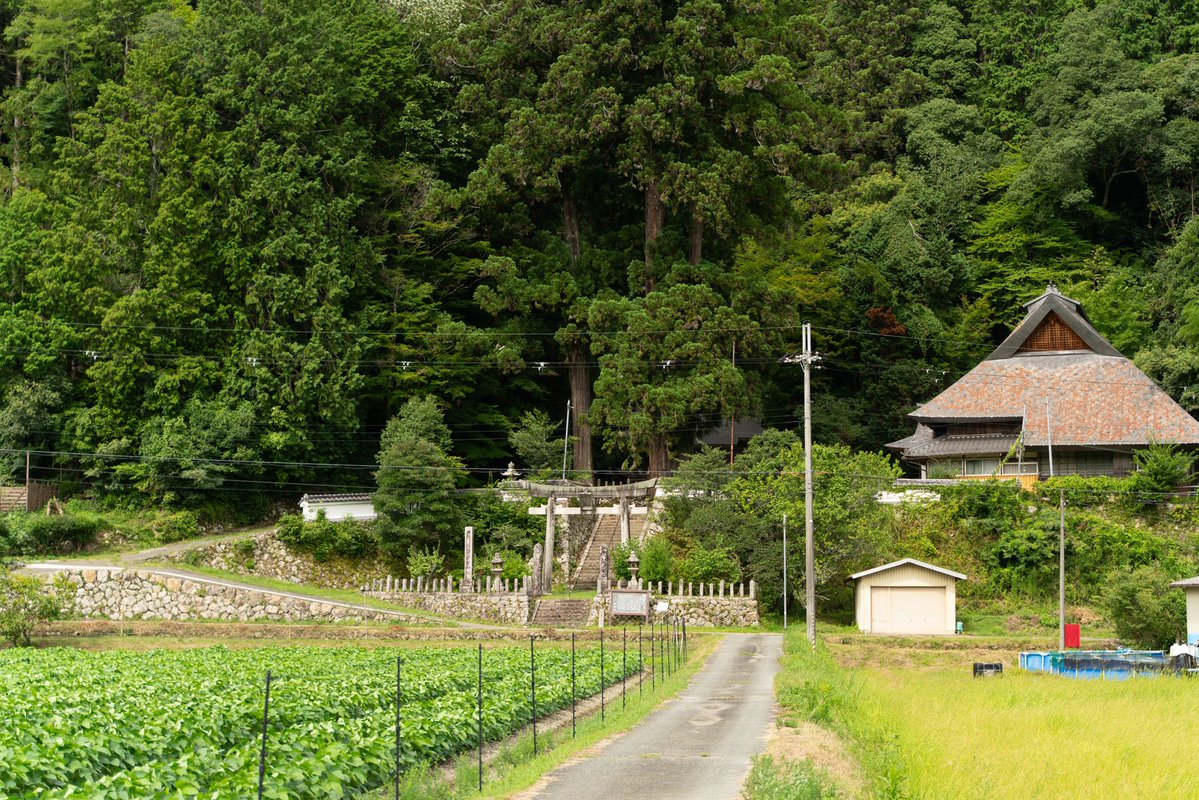 puma4164t's tweet photo. Countryside scenery https://t.co/pn9tBtG9Td