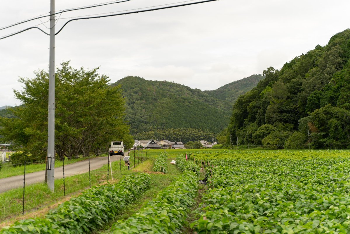 puma4164t's tweet photo. Countryside scenery https://t.co/pn9tBtG9Td