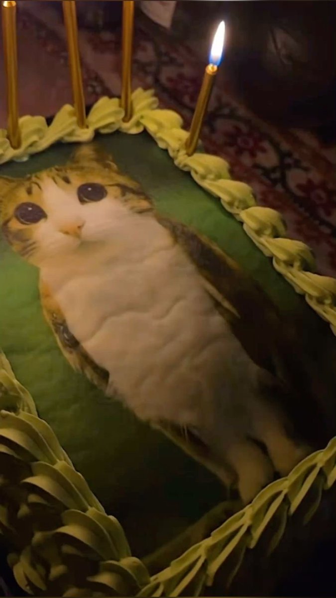 meowlposter's tweet photo. this changes everything https://t.co/LgAHvgNhy2