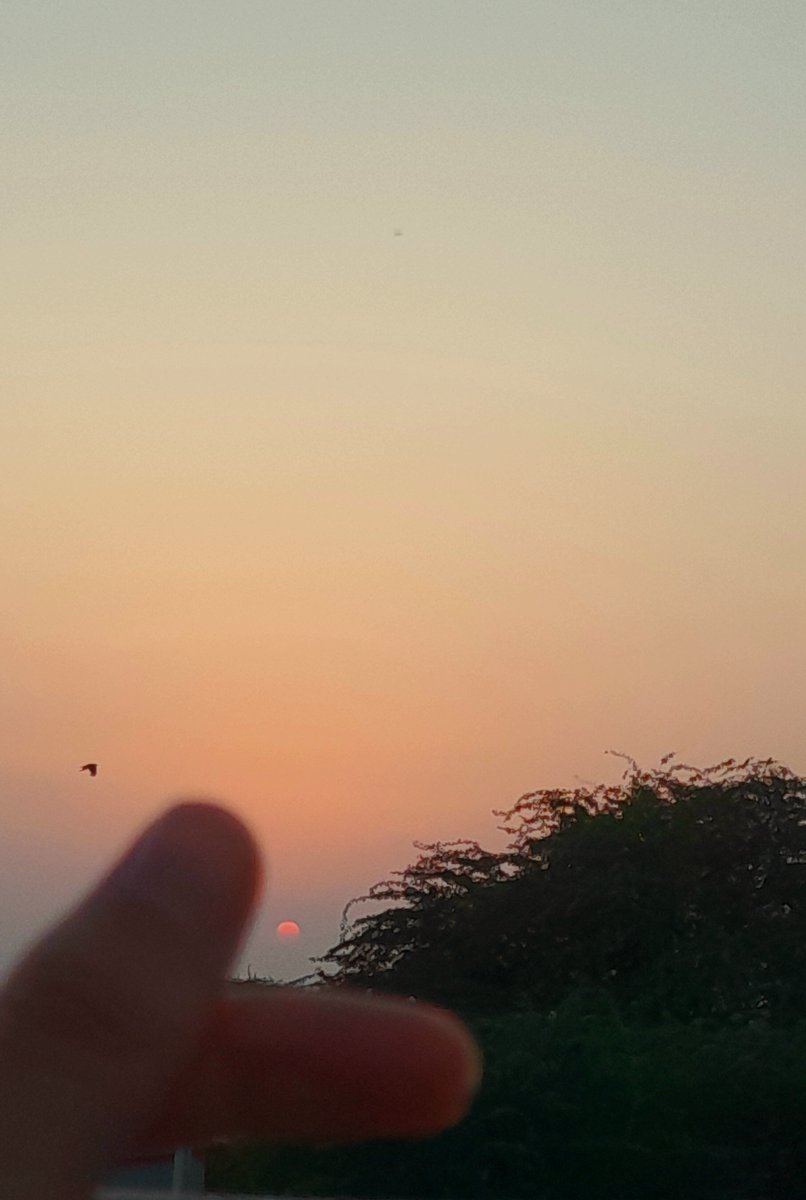 PoojaCh76101882's tweet photo. Sunset 🌇 

#photography 
#nature 
#sunset https://t.co/gzN1MxAbeK
