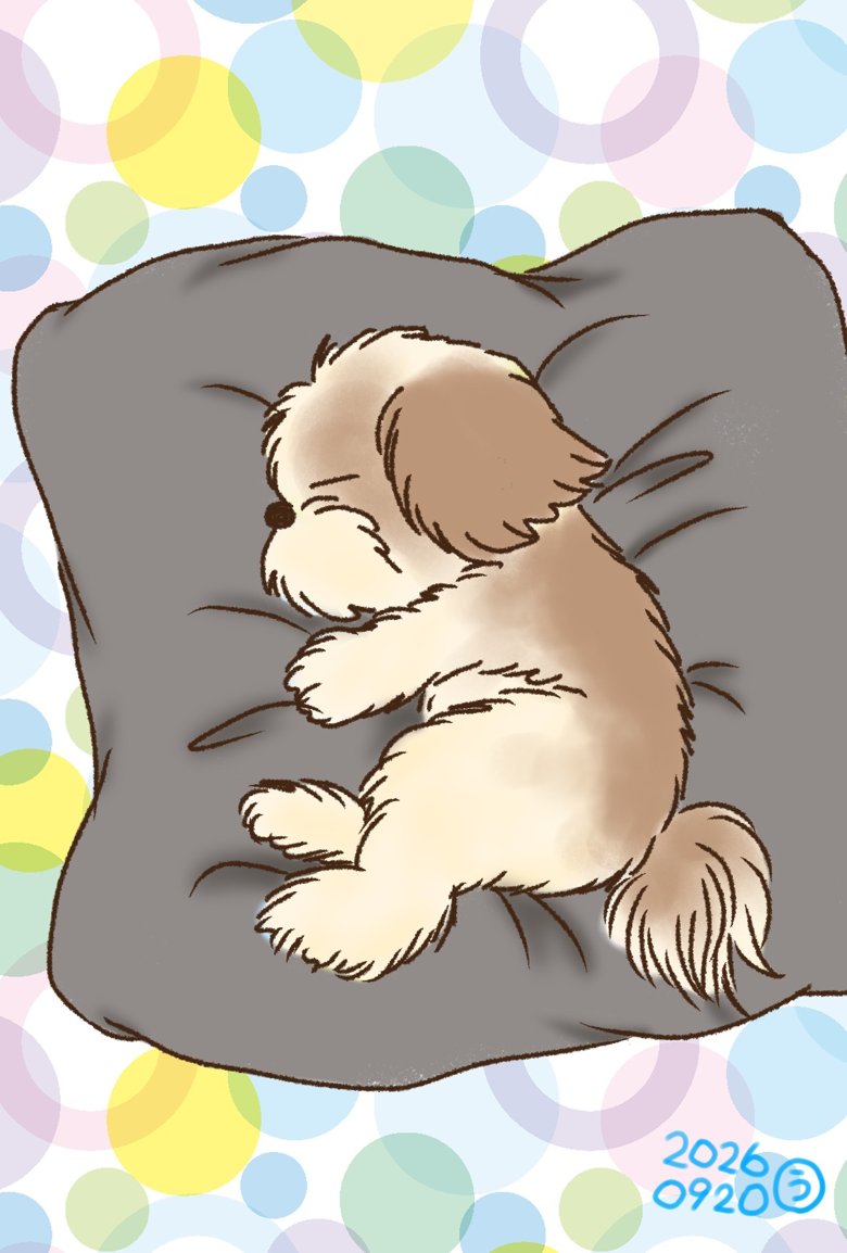 chitarennyako's tweet photo. すよすよぴーと気持ち良さげに寝てました 笑

#お絵描き
#オリジナル
#わんこ
#ド下手くそ https://t.co/PpqPcpsFfV https://t.co/4yAg2S8ZW1