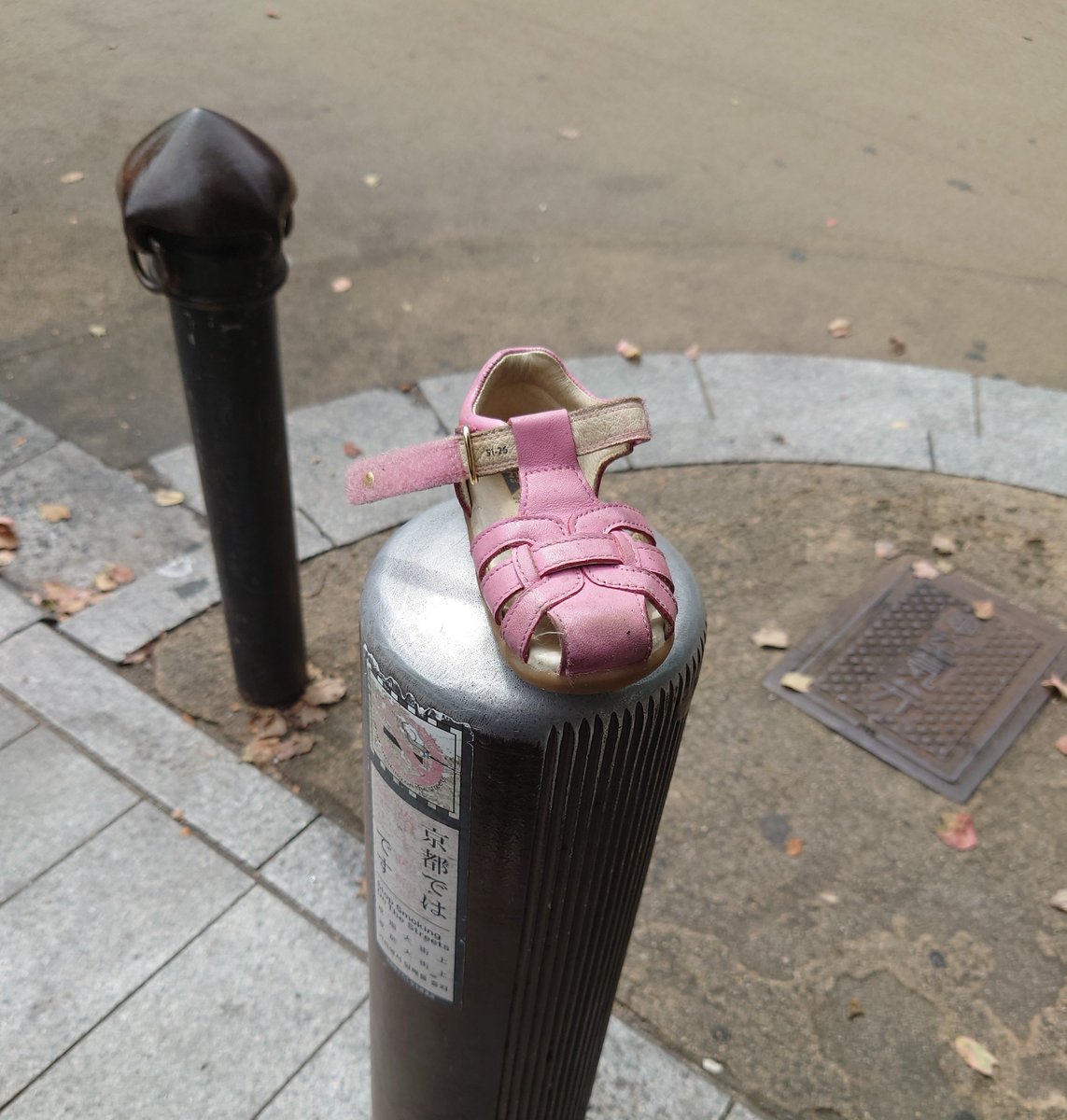 cocca_cocco's tweet photo. 京都の街で見つけたモノたち

昭和の死語7選 (ぜんぶしってる)

かわいい落としモノ

おっちゃんの右ポッケが飛び出てるのになぜかモノが入ってて歩く度にブラリンコ… https://t.co/G9cNyrllB8