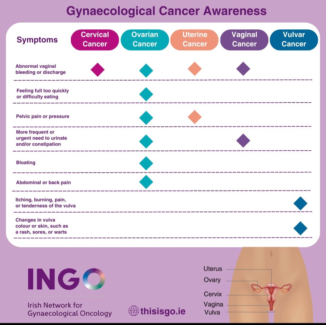 Lynchsyndromirl's tweet photo. Lynch Syndrome Ireland is proud to be part of the Irish Network of Gynecological Oncology, supporting @WorldGOday 💜 💜💜
#WorldGODay #GynaeCancers #SupportNotStigma #ThisIsGO https://t.co/0rWa8VTxYg