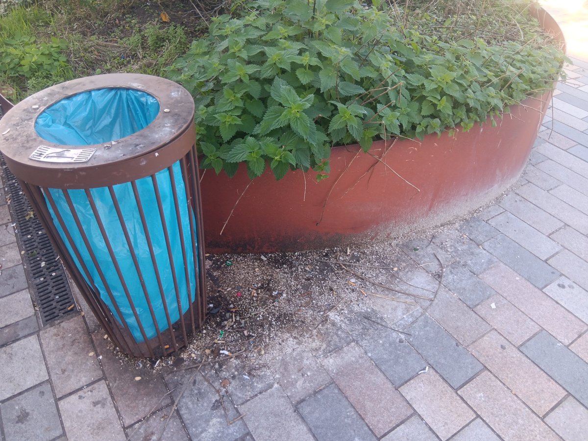 x_brum's tweet photo. As a result of today's litterpick at Perry Barr Station, x3 bags of litter. #OneMillionbags #Cleanerbrum @MorriamJan @WestMidRailway @BhamCityCouncil https://t.co/Ay191wgtHI