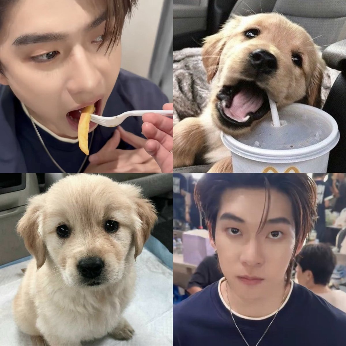 clairdesaint's tweet photo. ฟาร์มม๋าโกลเด้นหนิ 🫴🏻🦮🦮 https://t.co/Od8UTPmvFb