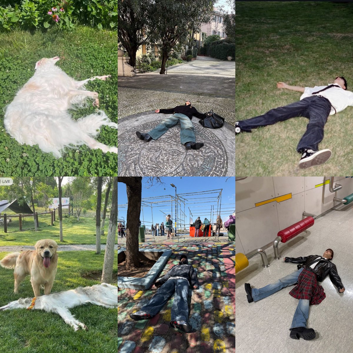 staysday6's tweet photo. hyunjin and seungmin are borzoi racha... https://t.co/RVxt6MfHr2