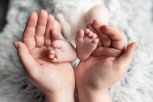 SilvestersFaith's tweet photo. “Her body, her choice” ignores the second body. A unique human life with its own DNA exists from conception. In India we still lose 15+ million of these lives every year.
#ProLifeIndia https://t.co/JDKzh1T6hL