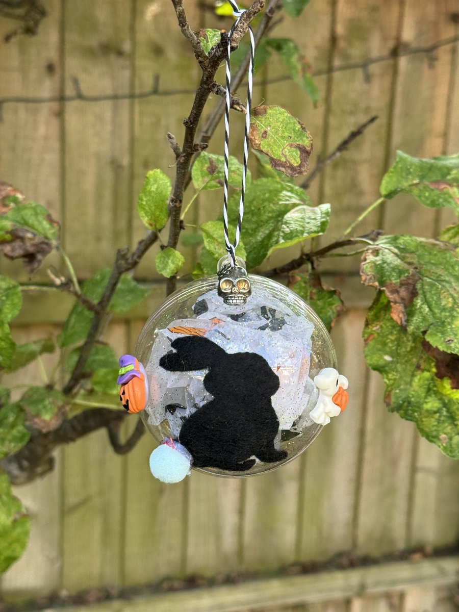 jjrabbithouse's tweet photo. We’ve added a fun new item for Halloween … Halloween baubles 

Choice of an empty one for you to fill with bunny treats (or hooman treats)

Or

One filled with Halloween themed bunny items (for hooms)

https://t.co/WhJt6qBnXi https://t.co/UtTsUSRQnH