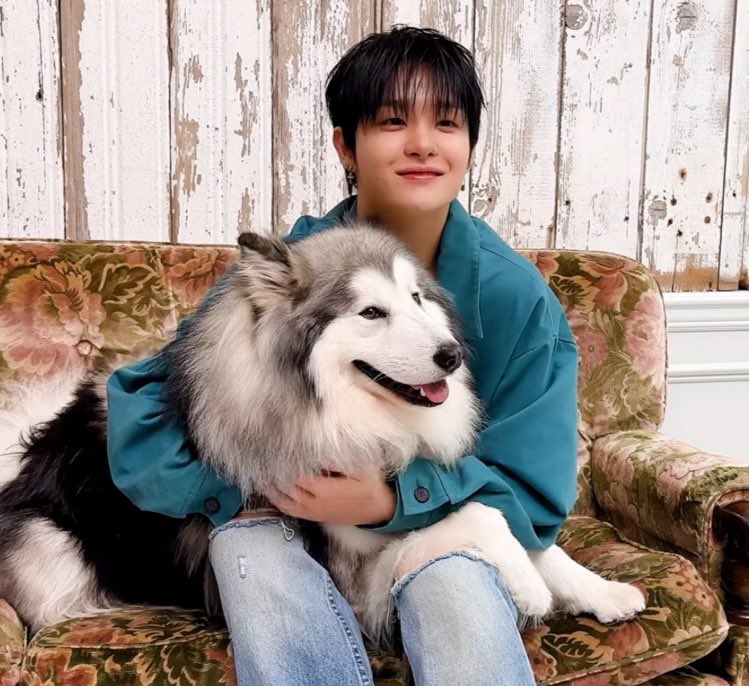 choco___min10's tweet photo. ﾝﾜ~~~~~~~~~🥹🥹🥹🥹🥹🥹🥹 https://t.co/nxPWyEk5Ri