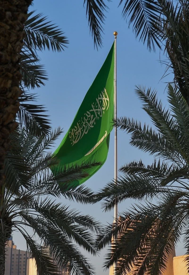 70G___'s tweet photo. « روحي وما ملكت يدايَّ فِداهُ »
                       💚 https://t.co/qF12WXSjzj