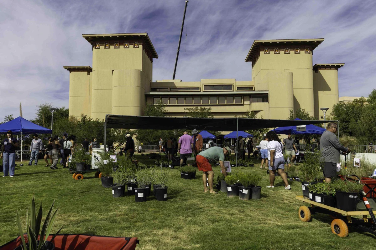 A community plant sale is taking place outdoors on a grassy area on the UTEP campus. People browse plants displayed in pots under shade structures. In the background, there is a large beige building with architectural details. Blue skies and trees are visible around the event.
