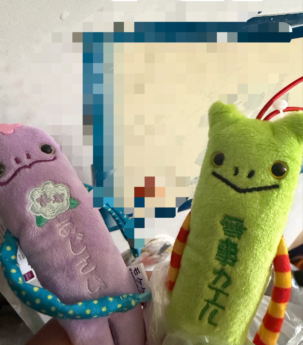 yomi_77's tweet photo. お揃いモケケ💜💚 https://t.co/W9J7I0k1Qg