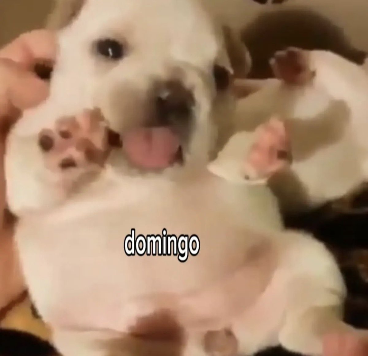 fruitpibble's tweet photo. https://t.co/Rrsmkx0ybF