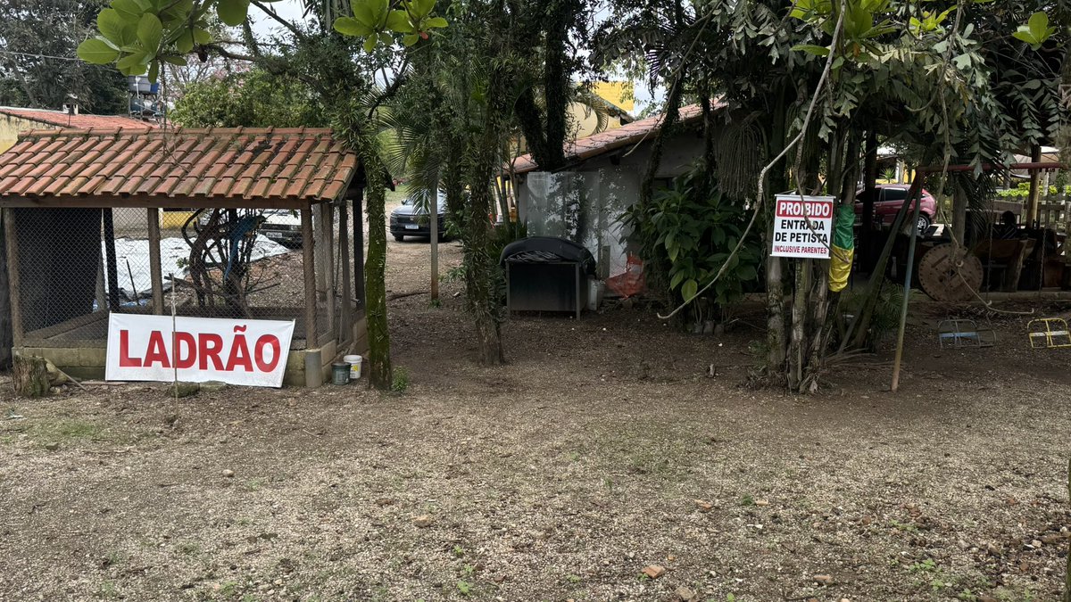 MonzilloS's tweet photo. @papinipops Essas fotografei há 12 dias em Aparecida do Norte… https://t.co/uQUV8DxAlY