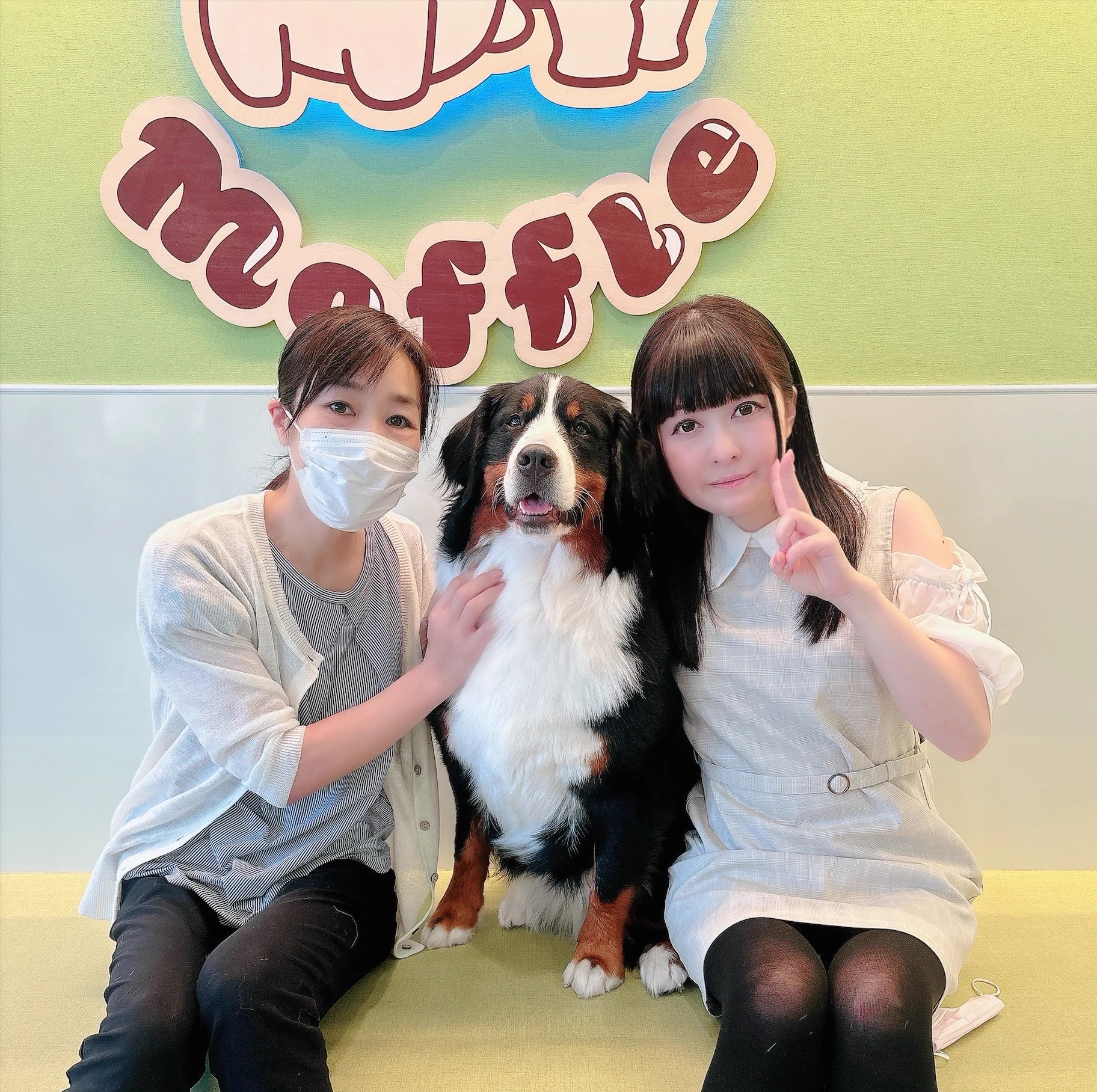 松田 摩耶 on X: 