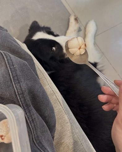 rnporjor's tweet photo. น้องเม่อกินมังจุ้ด พิซูกินจ้ม https://t.co/yQbrCeD6Se