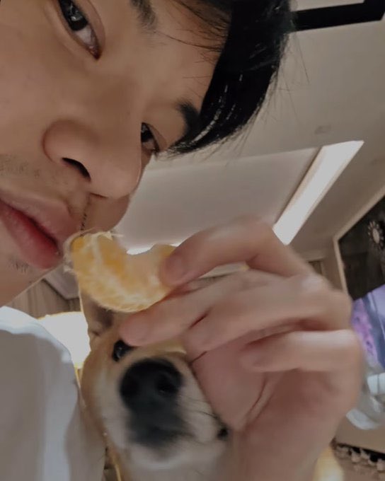 rnporjor's tweet photo. น้องเม่อกินมังจุ้ด พิซูกินจ้ม https://t.co/yQbrCeD6Se