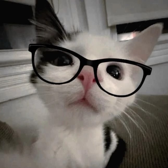 catxin25's tweet photo. https://t.co/ISUsVKwLZT