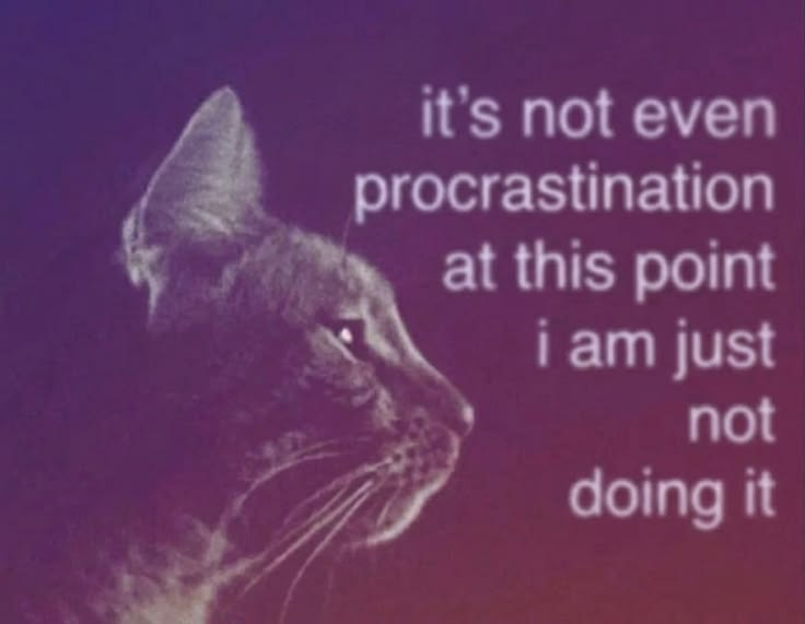 CatPosted's tweet photo. https://t.co/0KM66IDSru