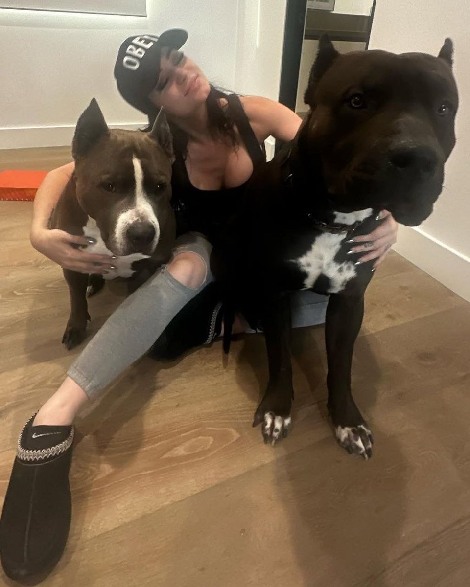 Audreyq12w's tweet photo. Surrounded by thick K9 power.
These two never go easy on me.
Full content on Telegram.
https://t.co/t6Y6ML0nZq

#Dogknotting #ZooPorn #Beastiality #K9Girl #DogKnot #Knotting https://t.co/aU3uKFtHE5