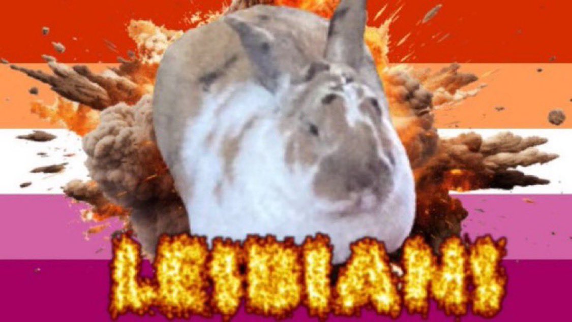 paddyloaf's tweet photo. I FORGOT IT ALREADY EXISTS https://t.co/RnvVBF1NWV